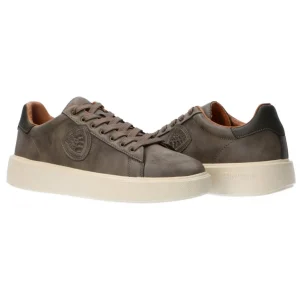 Blauer USA Uomo Sneakers-Buck01 Verde/taupe