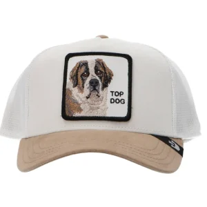 Goorin Bros Uomo Cappellini-MIX SUEDE ANIMAL CAP Beige Top Dog