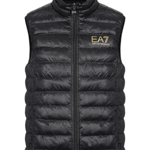 Emporio Armani Abbigliamento Giubbino | Smanicato-8NPQ01 PN29Z SMANICATO Nero Oro