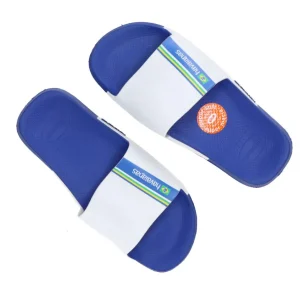 Havaianas Donna Scarpe Mare | Scarpe Mare-SLIDE CLASSIC BRASIL METALLIC Blu Royal