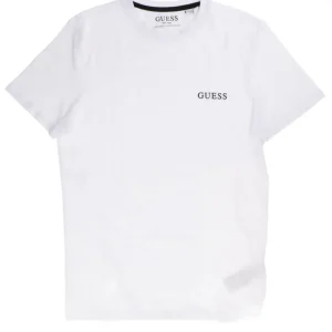 Guess Abbigliamento Intimo-TEE+SLIP PACK Multicolore